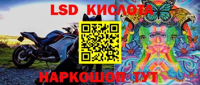 эйфоретик Боровичи