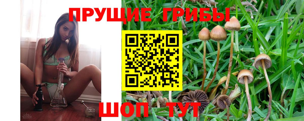 Галлюциногенные грибы GOLDEN TEACHER Анапа